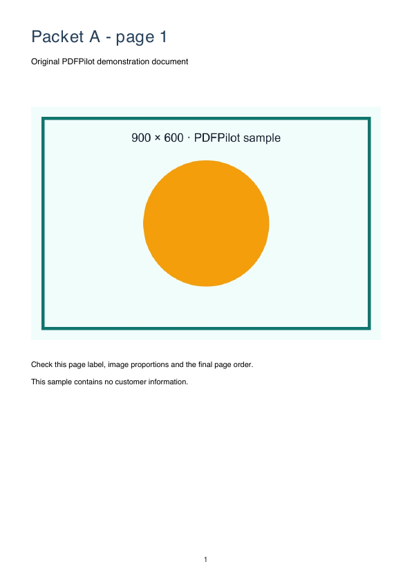 First page of the Merge PDF and add page numbers sample result